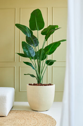 La Plante Artificielle Strelitzia 180 cm real touch se dresse sur un sol clair près d'un canapé blanc et d'un tapis tissé, contre un mur vert clair à panneaux, où les larges feuilles vertes ajoutent une touche naturelle.