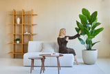 Une femme en robe marron est assise sur un canapé blanc, sourit et tient un verre tout en touchant la plante artificielle Strelitzia Real Touch Deluxe 180 cm dans un salon moderne et minimaliste avec des étagères en bois et une table basse.