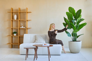 Une femme en robe marron est assise sur un canapé blanc, sourit et tient un verre tout en touchant la plante artificielle Strelitzia Real Touch Deluxe 180 cm dans un salon moderne et minimaliste avec des étagères en bois et une table basse.