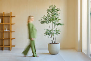 Une personne en vert passe devant la plante Ruscus artificielle 180 cm, une grande plante en pot dans une pièce minimaliste avec des murs clairs, une fenêtre et une étagère en bois. Le personnage apparaît vaguement en mouvement.