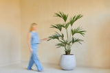 Een vaag persoon in lichtblauwe kleding loopt langs de Kunstplant Kentia Palm 180 cm in een grote witte plantenbak tegen een beige muur.