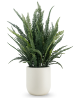 La plante artificielle Feuille de fougère de 102 cm contient une fougère verte luxuriante et est présentée dans un simple pot rond blanc, sur un fond blanc uni.