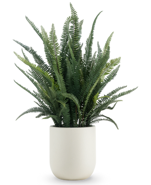 La plante artificielle Feuille de fougère de 102 cm contient une fougère verte luxuriante et est présentée dans un simple pot rond blanc, sur un fond blanc uni.