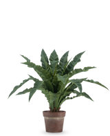 De Kunstplant Nestvaren 61 cm heeft lange, golvende groene bladeren in een bruine, rustieke pot tegen een effen witte achtergrond.