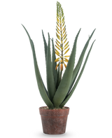 La plante d'Aloé Artificielle avec fleur 66 cm est un aloe vera artificiel en pot avec de longues feuilles vertes épaisses et une longue branche de fleur jaune, isolée sur fond blanc.