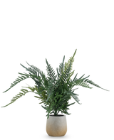 La Fougère Plante Artificielle 51 cm est une fougère artificielle avec de longues feuilles vertes et plumeuses dans un simple pot rond en céramique de couleur claire, sur un fond blanc uni.