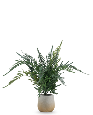 La Fougère Plante Artificielle 51 cm est une fougère artificielle avec de longues feuilles vertes et plumeuses dans un simple pot rond en céramique de couleur claire, sur un fond blanc uni.