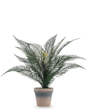 Plante artificielle Fougère Phoenix de 39 cm dans un pot simple en terre cuite patinée avec des feuilles vertes luxuriantes et plumeuses sur un fond blanc uni.