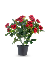 Une rose de patio artificielle de 35 cm en rouge/noir présente des roses artificielles rouges vif avec des feuilles vertes luxuriantes dans un pot noir, sur un fond blanc uni.