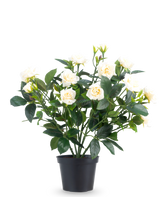 La Rose de Patio Artificielle 35 cm crème UV est composée de plusieurs tiges, de feuilles vertes et de plusieurs roses en fleurs de couleur crème, le tout placé dans un pot sur un fond blanc uni.