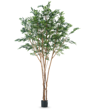 De Kunstboom Murraya paniculata 300 cm heeft meerdere slanke bruine stammen en dicht groen blad in een kleine zwarte plantenbak, tegen een effen witte achtergrond.
