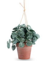 La Feuille Rugose artificielle 29 cm verte en pot suspendu présente des feuilles rondes vert foncé dans un pot suspendu marron, sur un fond uni blanc.