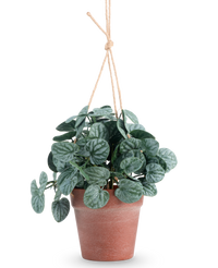 Plante artificielle Rugose feuille 29 cm vert dans pot suspendu