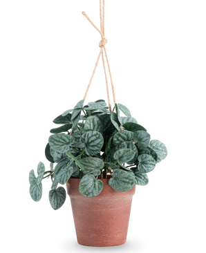 La Feuille Rugose artificielle 29 cm verte en pot suspendu présente des feuilles rondes vert foncé dans un pot suspendu marron, sur un fond uni blanc.