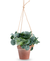 La feuille Rugose artificielle de 18 cm verte a des feuilles vertes rondes dans un pot suspendu en terre cuite, accrochées à une corde beige, sur un fond blanc uni.