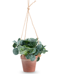 Plante artificielle Rugose feuille 18 cm vert dans pot suspendu