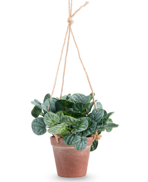 La feuille Rugose artificielle de 18 cm verte a des feuilles vertes rondes dans un pot suspendu en terre cuite, accrochées à une corde beige, sur un fond blanc uni.