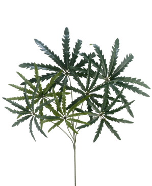 La Branche Artificielle Ming Aralia spray 68 cm FR possède des feuilles vertes et épineuses qui se ramifient à partir de tiges fines, sur un fond blanc uni.