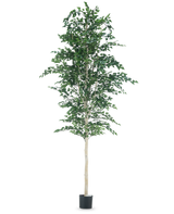 L'Arbre Berke Artificiel 300 cm est un arbre avec des feuilles.