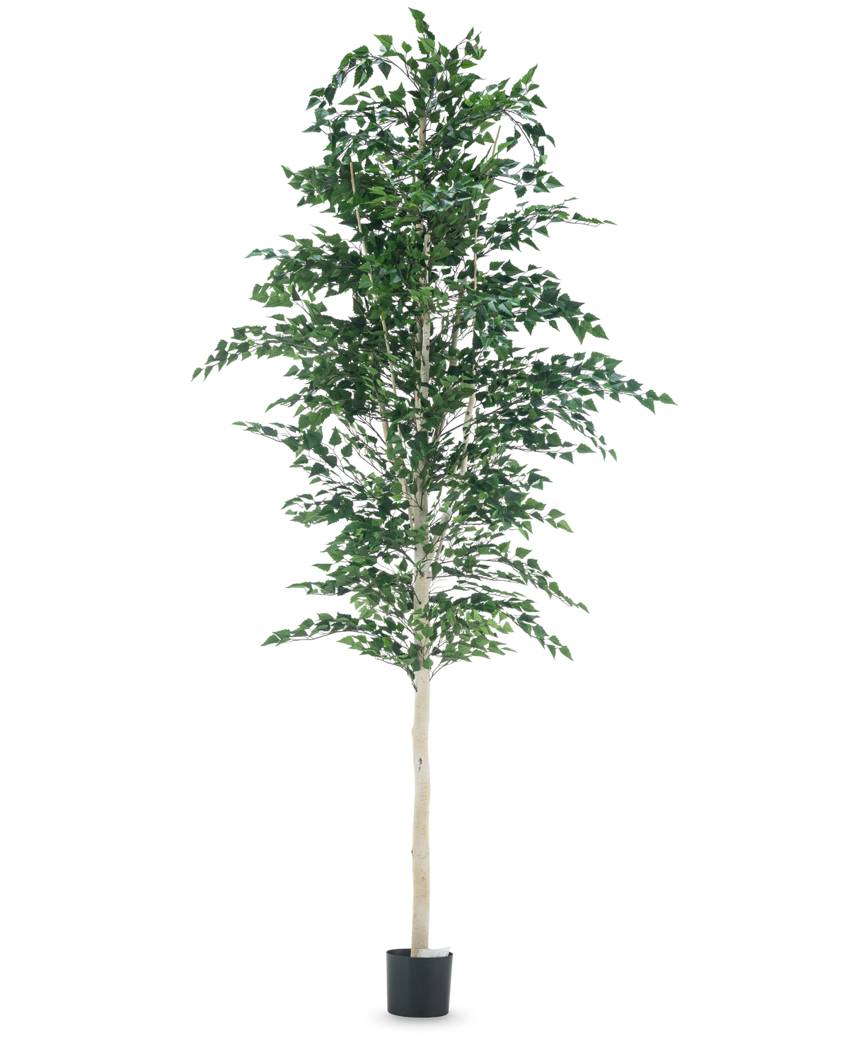 L'Arbre Berke Artificiel 300 cm est un arbre avec des feuilles.