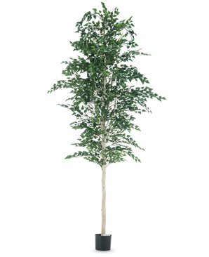 L'Arbre Berke Artificiel 300 cm est un arbre avec des feuilles.