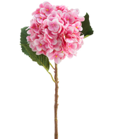 La fleur artificielle Hortensia Real Touch rose 58 cm est une simple tige d'hortensia artificielle rose avec des feuilles vertes, avec une fleur ronde de nombreux petits pétales, magnifiquement détaillée et isolée sur un fond blanc.