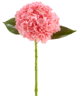 La Fleur Artificielle Charlotte Hortensia Real Touch rose foncé est une fleur d'hortensia artificielle de 55 cm de long, avec une grappe ronde de pétales rose foncé et de feuilles vertes sur une longue tige, isolée sur fond blanc.