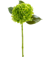 La fleur artificielle Charlotte Hortensia Real Touch vert foncé 55 cm se compose d'une fleur d'hortensia verte aux pétales groupés, de trois feuilles brillantes et d'une longue tige, le tout représenté sur un fond blanc.