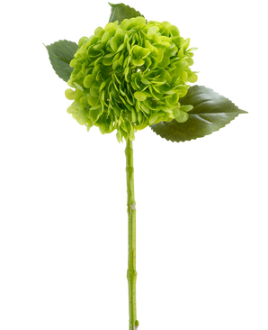 La fleur artificielle Charlotte Hortensia Real Touch vert foncé 55 cm se compose d'une fleur d'hortensia verte aux pétales groupés, de trois feuilles brillantes et d'une longue tige, le tout représenté sur un fond blanc.
