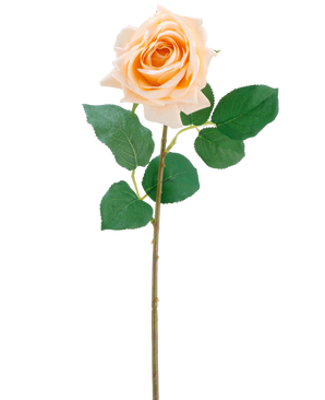 La fleur artificielle Crystal touch rose hydratante Real Touch en champagne est une rose artificielle simple avec des feuilles vertes sur une tige mince de 43 cm de long, représentée sur un fond blanc uni.