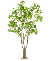 La Plante Artificielle Pieris Japonica 290 cm est un grand arbre artificiel avec de multiples troncs marron clair et des feuilles vertes luxuriantes dans un pot rectangulaire, sur un fond blanc.