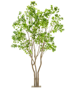 La Plante Artificielle Pieris Japonica 290 cm est un grand arbre artificiel avec de multiples troncs marron clair et des feuilles vertes luxuriantes dans un pot rectangulaire, sur un fond blanc.