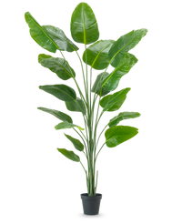 Plante artificielle Strelitzia 240 cm real touch