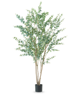 De Kunstplant Eucalyptus 240 cm is een hoge kunstplant met meerdere dunne houtachtige stengels en ronde groene bladeren, weergegeven in een eenvoudige zwarte pot tegen een effen witte achtergrond.