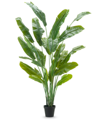 Plante artificielle Strelitzia Nicolai Deluxe 235 cm