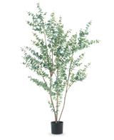 La plante artificielle Eucalyptus 210 cm est un grand eucalyptus artificiel dans un simple pot noir, avec plusieurs branches fines et des feuilles rondes vert argenté sur fond blanc.