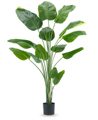 Plante artificielle Strelitzia 210 cm real touch