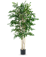 De Kunstplant Ruwe Berk 210 cm heeft meerdere slanke witte stammen en dichte groene bladeren, hoog in een zwarte pot tegen een effen witte achtergrond.