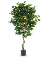 Een hoge Kunstplant Sinaasappelboom 180 cm met weelderige groene bladeren en verschillende oranje vruchten, tegen een effen witte achtergrond.
