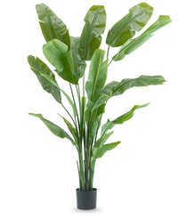 Plante artificielle Strelitzia Nicolai Deluxe 215 cm