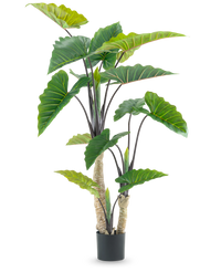 Plante artificielle Alocasia 180 cm