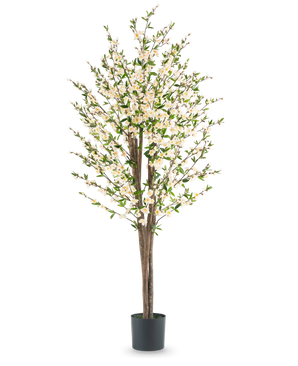 La plante de fleurs de cerisier artificielles 180 cm crème possède plusieurs tiges brunes, des feuilles vertes et de nombreuses petites fleurs blanches dans un pot noir, sur un fond blanc uni.