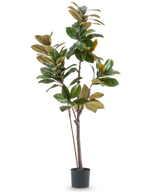 L'arbre Yulania artificiel 180 cm est une plante artificielle haute et facile d'entretien avec de larges feuilles vertes et brunes brillantes, plusieurs tiges fines et un pot cylindrique noir, sur un fond blanc uni.