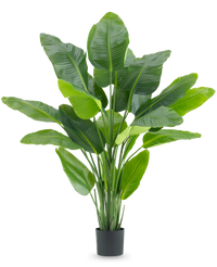 Plante artificielle Strelitzia Real Touch Deluxe 180 cm