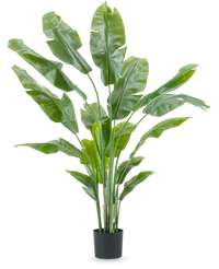 Plante artificielle Strelitzia Nicolai Deluxe 185 cm