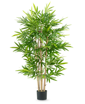 La plante artificielle bambou 150 cm possède plusieurs tiges de bambou fines et des feuilles vertes luxuriantes dans un petit pot noir, sur un fond blanc uni.