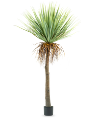 Plante artificielle Yucca 153 cm