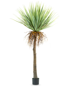 La plante artificielle Yucca 153 cm a un tronc brun haut et rugueux avec des feuilles vertes épineuses en haut et quelques feuilles séchées en bas, sur un fond blanc uni.