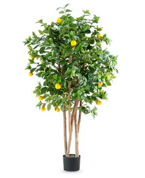 Un grand oranger artificiel appelé "Oranger artificiel 150 cm" avec plusieurs troncs bruns, des feuilles vertes vibrantes et plusieurs fruits orange vif dans un simple pot noir sur un fond blanc uni.