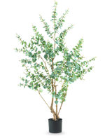 La Plante Artificielle Eucalyptus 180 cm est une grande plante artificielle aux branches fines et aux feuilles vertes rondes, présentée dans un simple pot noir sur fond blanc.